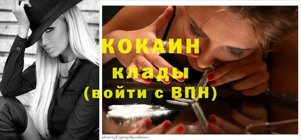 шишки Балабаново