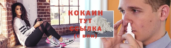 шишки Балабаново