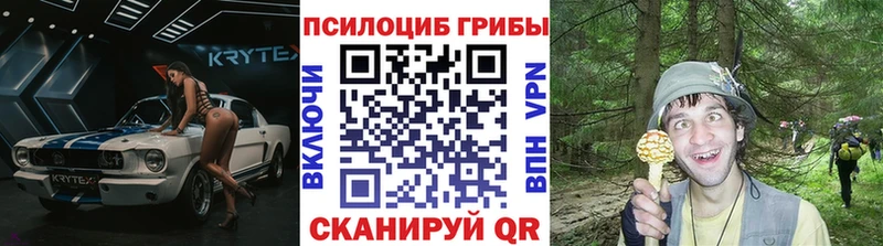 Псилоцибиновые грибы прущие грибы  Купить  Мосальск 